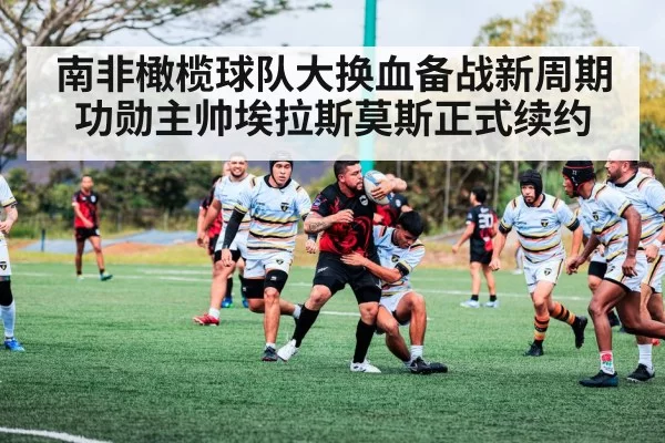 南非橄榄球队大换血备战新周期功勋主帅埃拉斯莫斯正式续约
