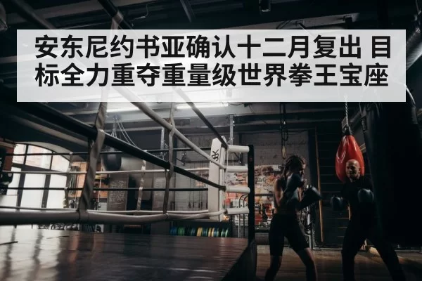 boxer training gym