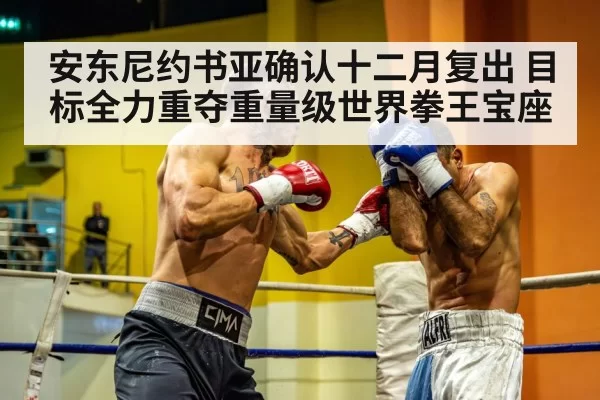 heavyweight boxing match